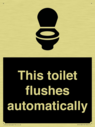 this-toilet-flushes-automatically~